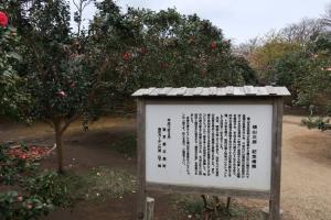 ohshima 061