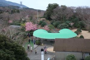 ohshima 074