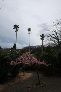 ohshima 076