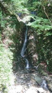 oyama 011