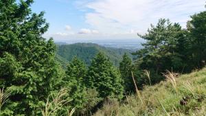 oyama 016