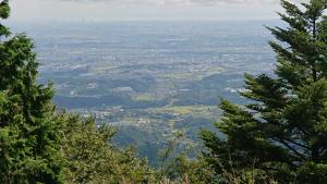 oyama 022