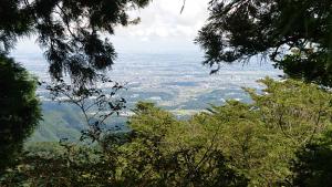 oyama 035