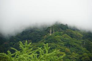oyama 048