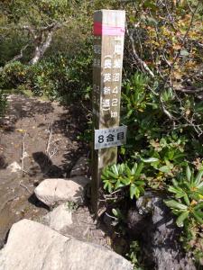 oze hiuchi 034