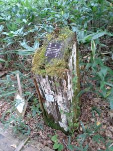 oze ozagahara 020
