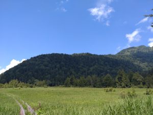 oze068