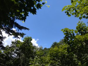oze076