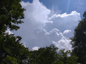 尾瀬沼（２／２）
