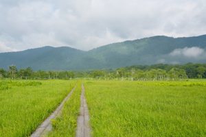 尾瀬ヶ原（１／４）