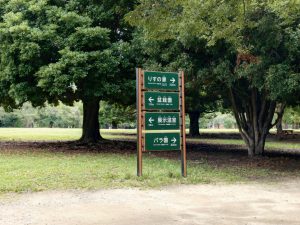 risunouchi 004