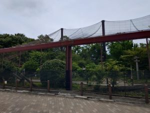 risunouchi 007