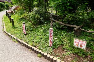 risunouchi 009