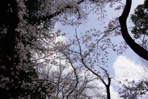 yonokoen 004