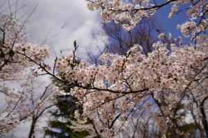 yonokoen 011