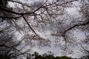 yonokoen 040
