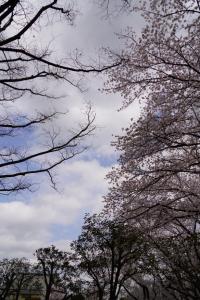 yonokoen 042