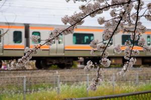 sakurakaido 012