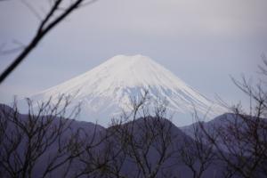 笹子雁ヶ腹摺山（２／２）