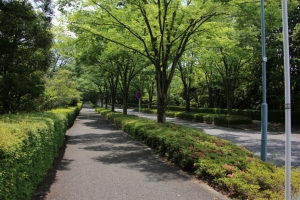 sayama 013
