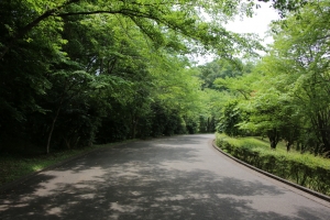 sayama 015