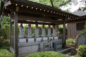 sayama 018