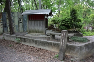 sayama 038