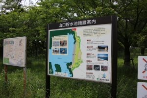 sayama 041