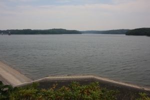 sayama 044