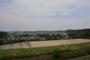 sayama 048