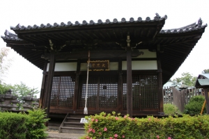 sayama 056