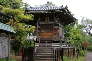 sayama 058
