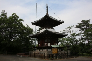 sayama 059