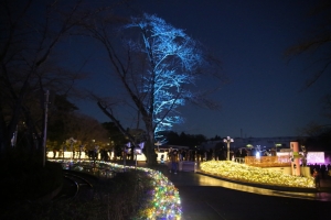 seibu ilumi 018