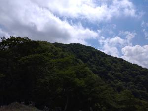 seihachi 068