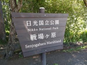 戦場ヶ原湿原・夏（１／３）
