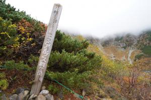 senjojiki 069