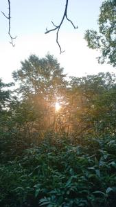 shibutsusan 009