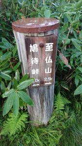shibutsusan 017