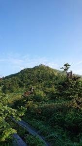 shibutsusan 032