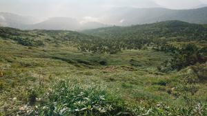 shibutsusan 049