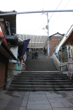 shikoku23 0010