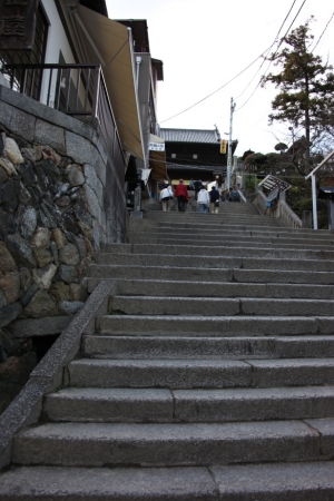 shikoku23 0012