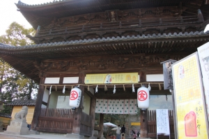 shikoku23 0014