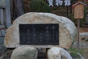 shikoku23 0017