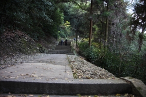 shikoku23 0037