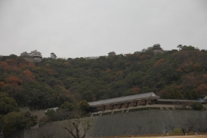 shikoku33 0106