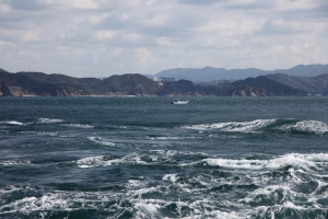 shikoku11 0010