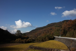 shikoku21 0028