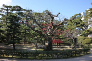 shikoku22 0007